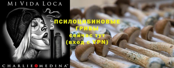 амф Балахна