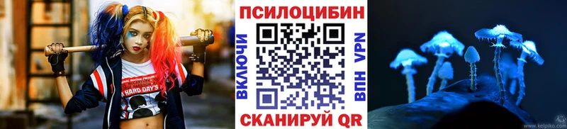 Псилоцибиновые грибы Psilocybe Городовиковск